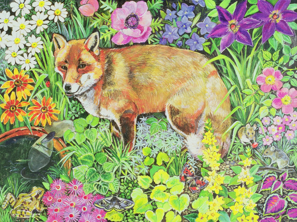 Barnet Tilkisi by Hilary Jones