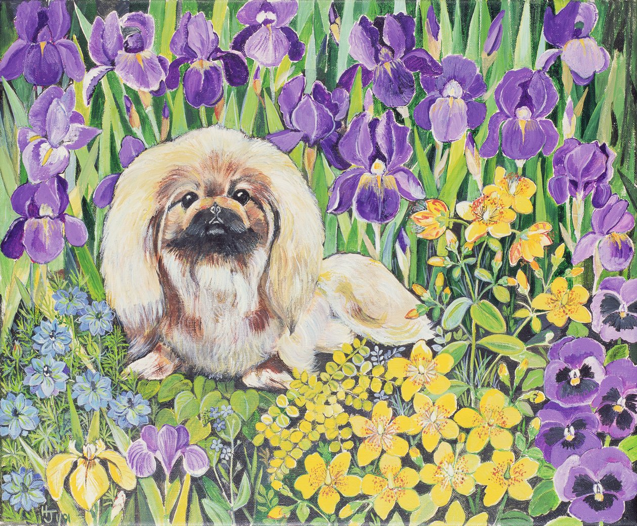 Wilma by Hilary Jones