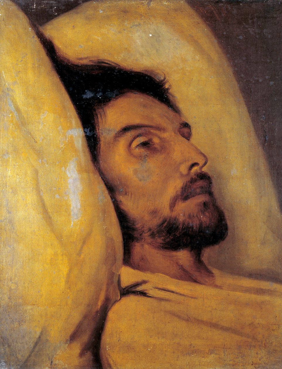 Gazeteci Armand Carel