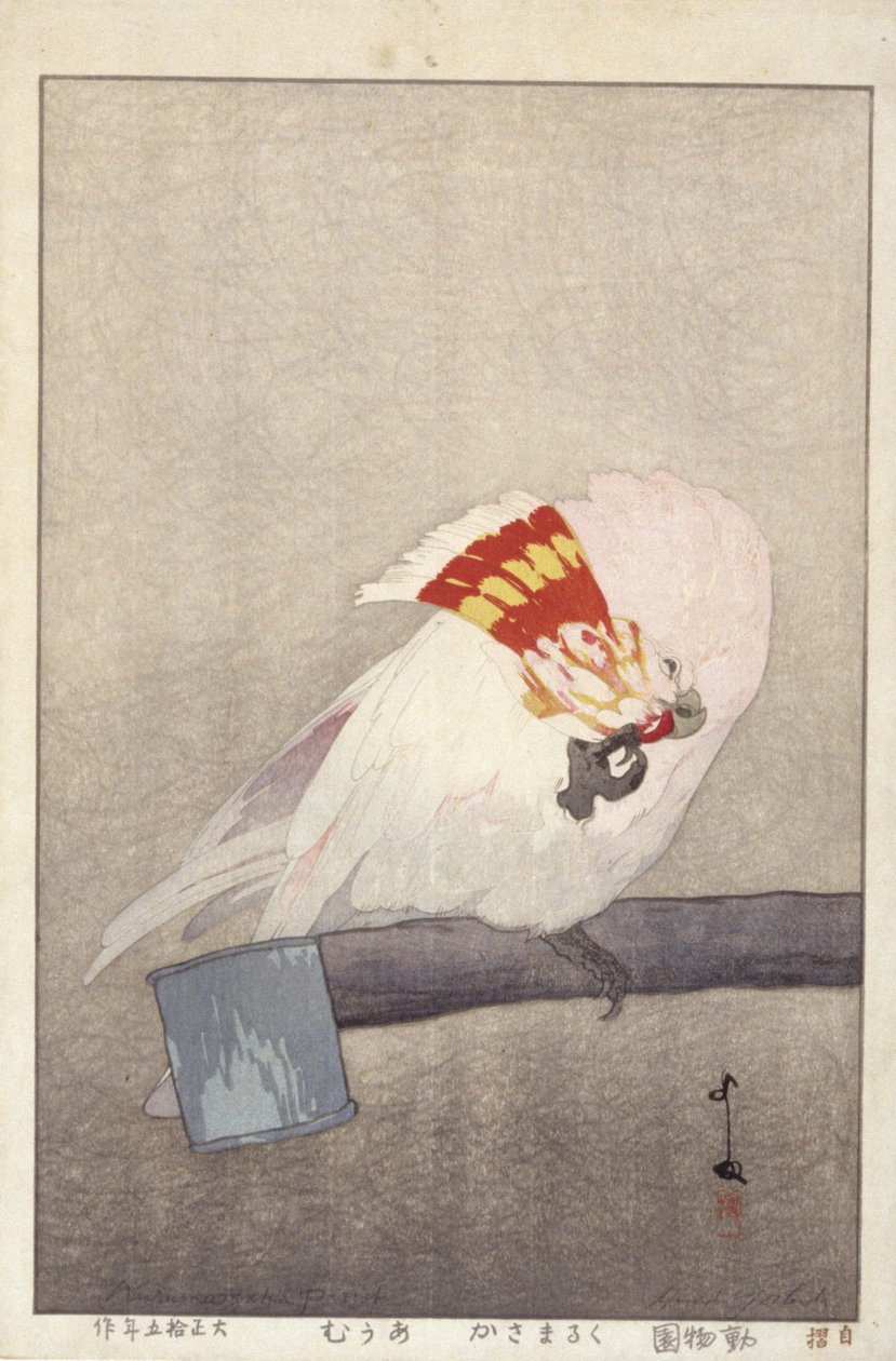 Besleyici Üzerinde Kakadu (renkli tahta baskı) by Hiroshi Yoshida