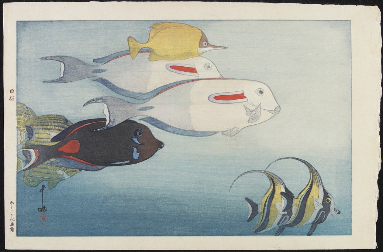 Honolulu Akvaryumu by Hiroshi Yoshida