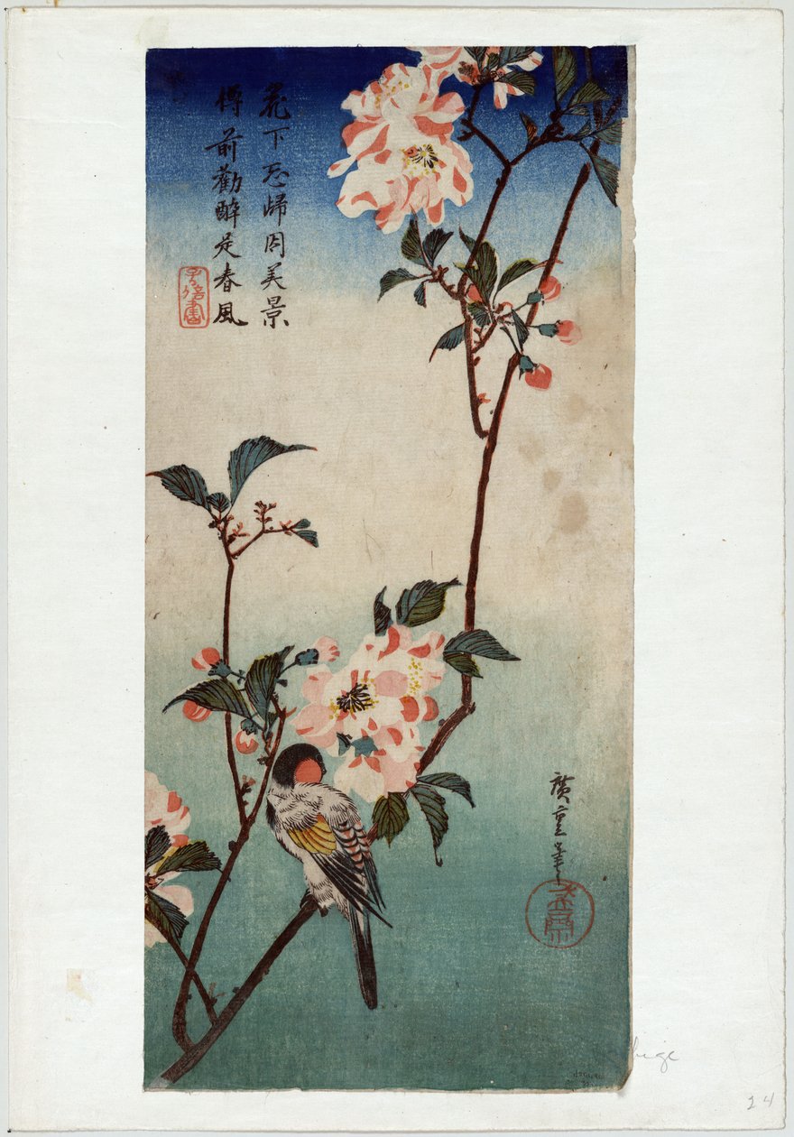 Kaido Nishokin (Kaidozakura