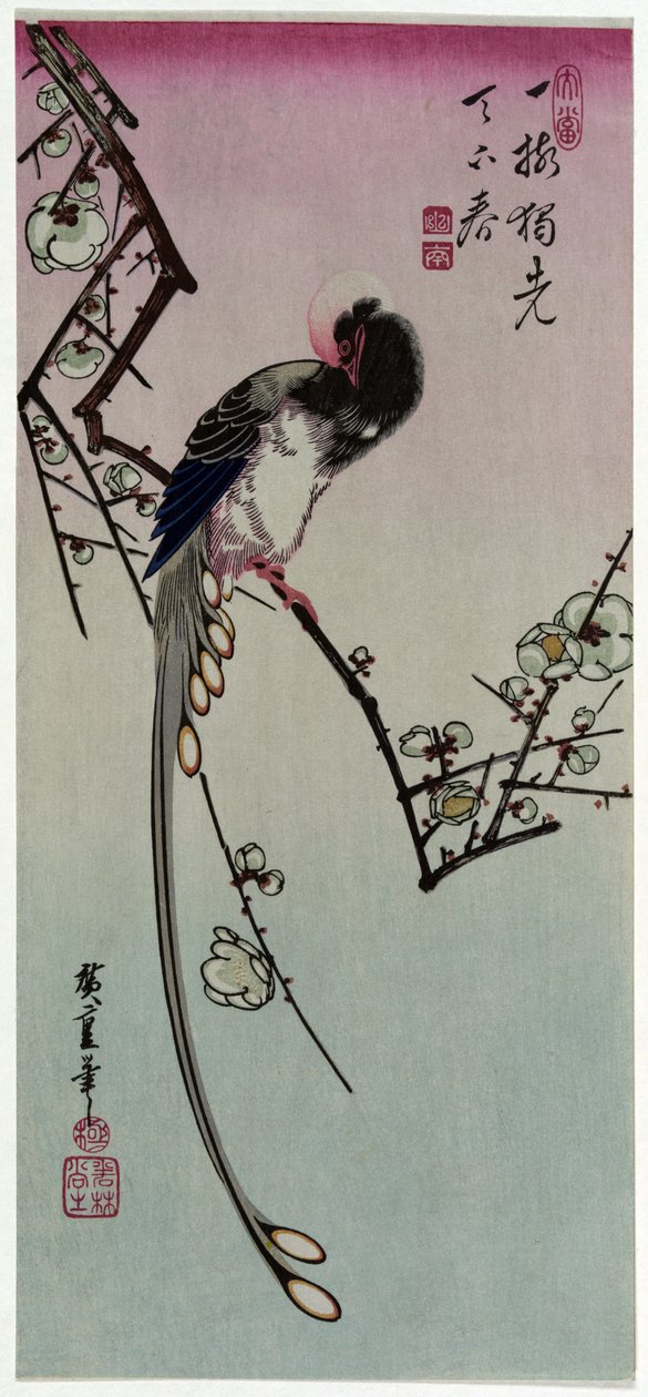 Ume ni Nagadori by Utagawa Hiroshige