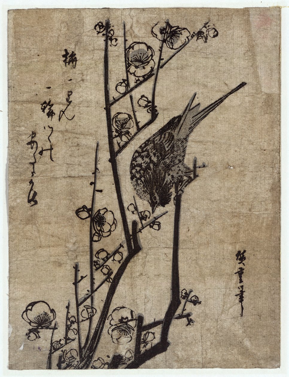 Ume ni Uguisu(Erik Çiçeği ve Çalı Ötleğen) by Utagawa Hiroshige