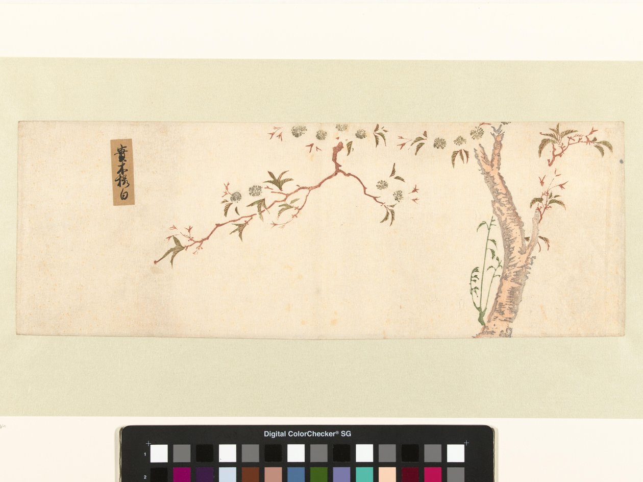 Çiçek Açan Kiraz Ağacı by Hiroshige (I) , Utagawa (attributed to)