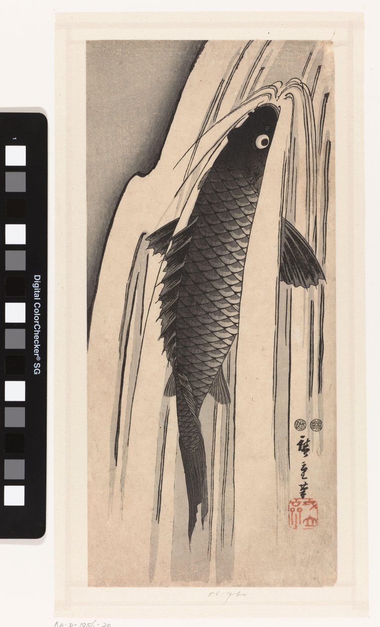 Şelaleye karşı yüzen sazan by Hiroshige (I) , Utagawa