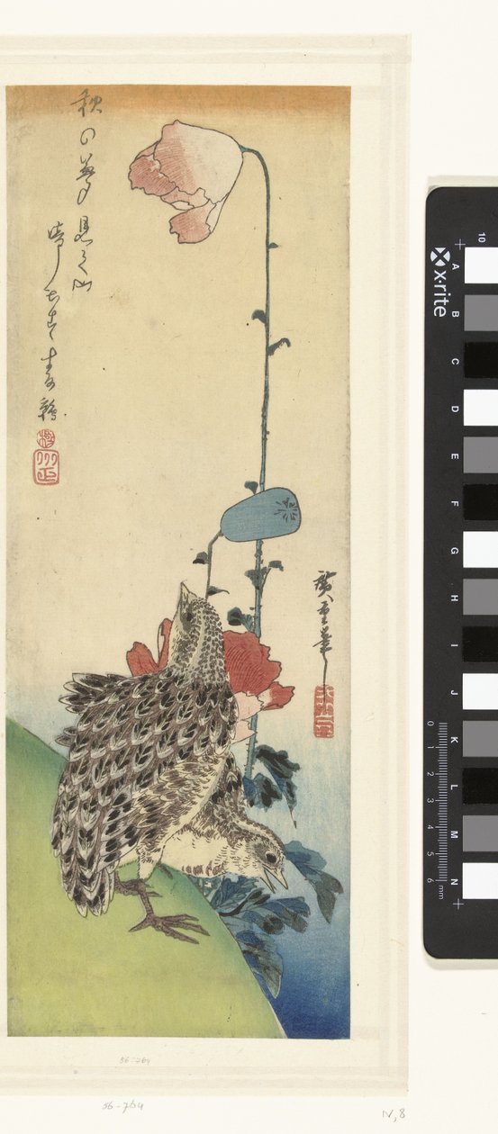 Bıldırcın ve haşhaş by Hiroshige (I) , Utagawa