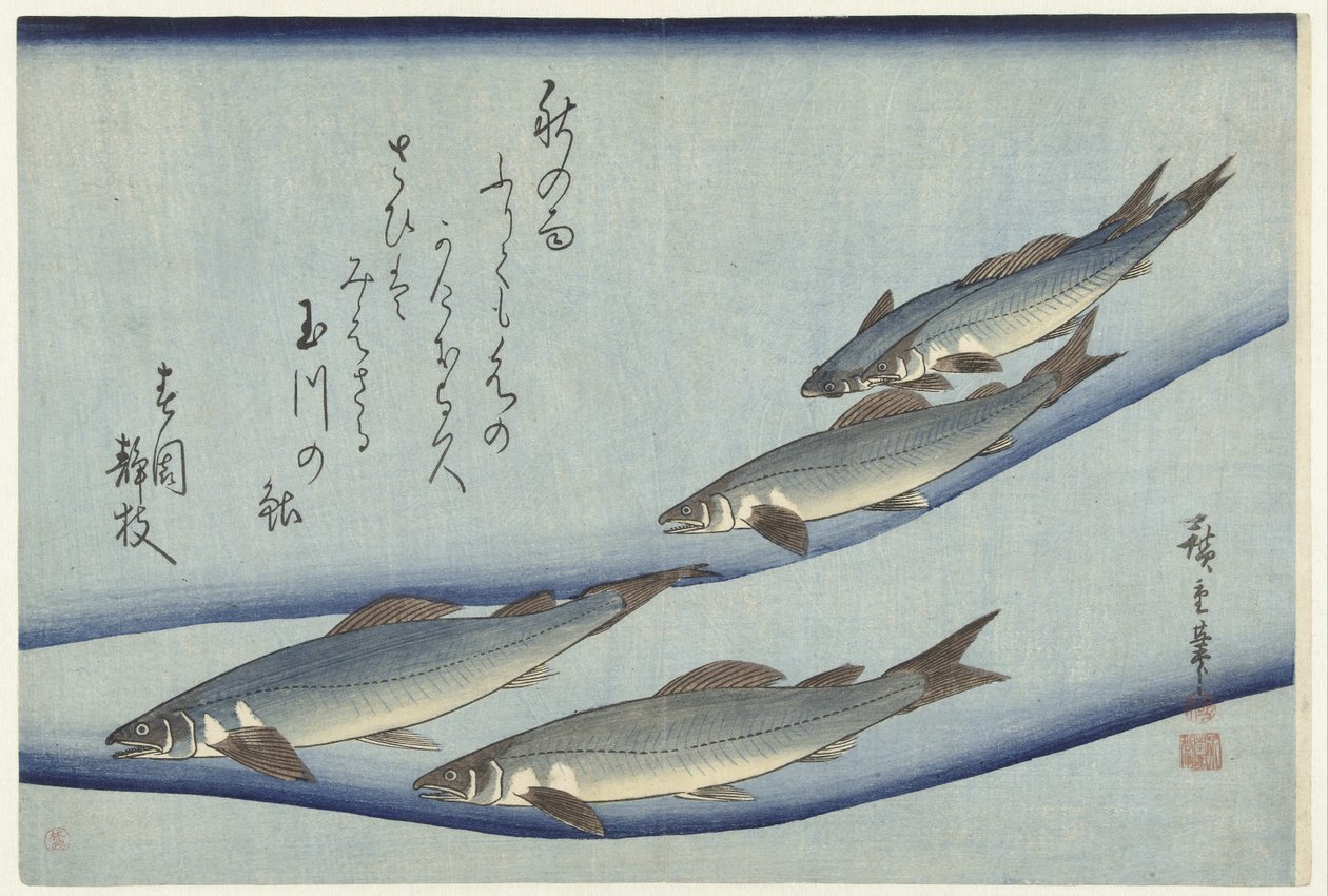 Alabalık by Hiroshige (I) , Utagawa