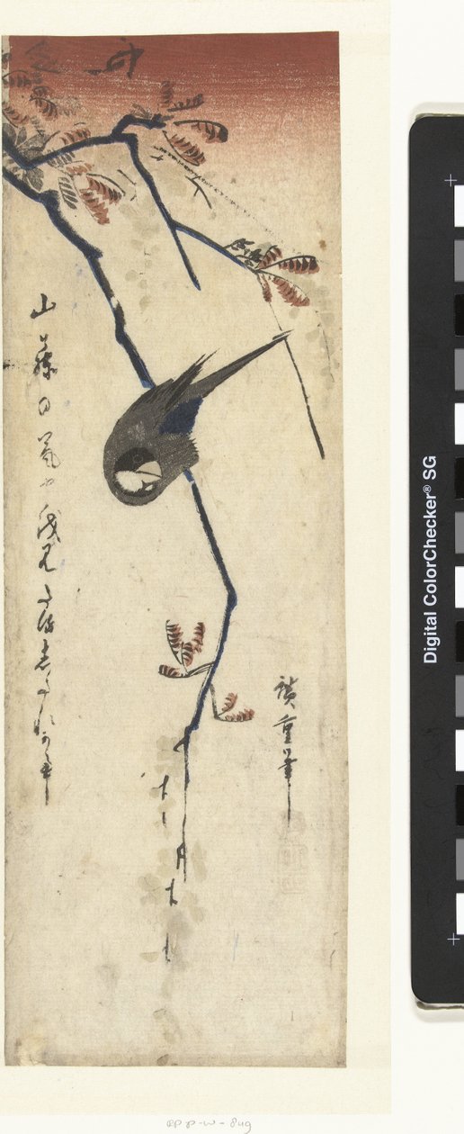 kuş ve wisteria by Hiroshige (I) , Utagawa