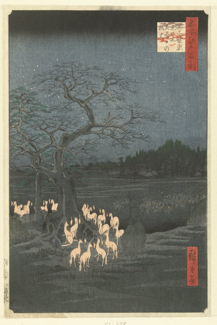 Oji