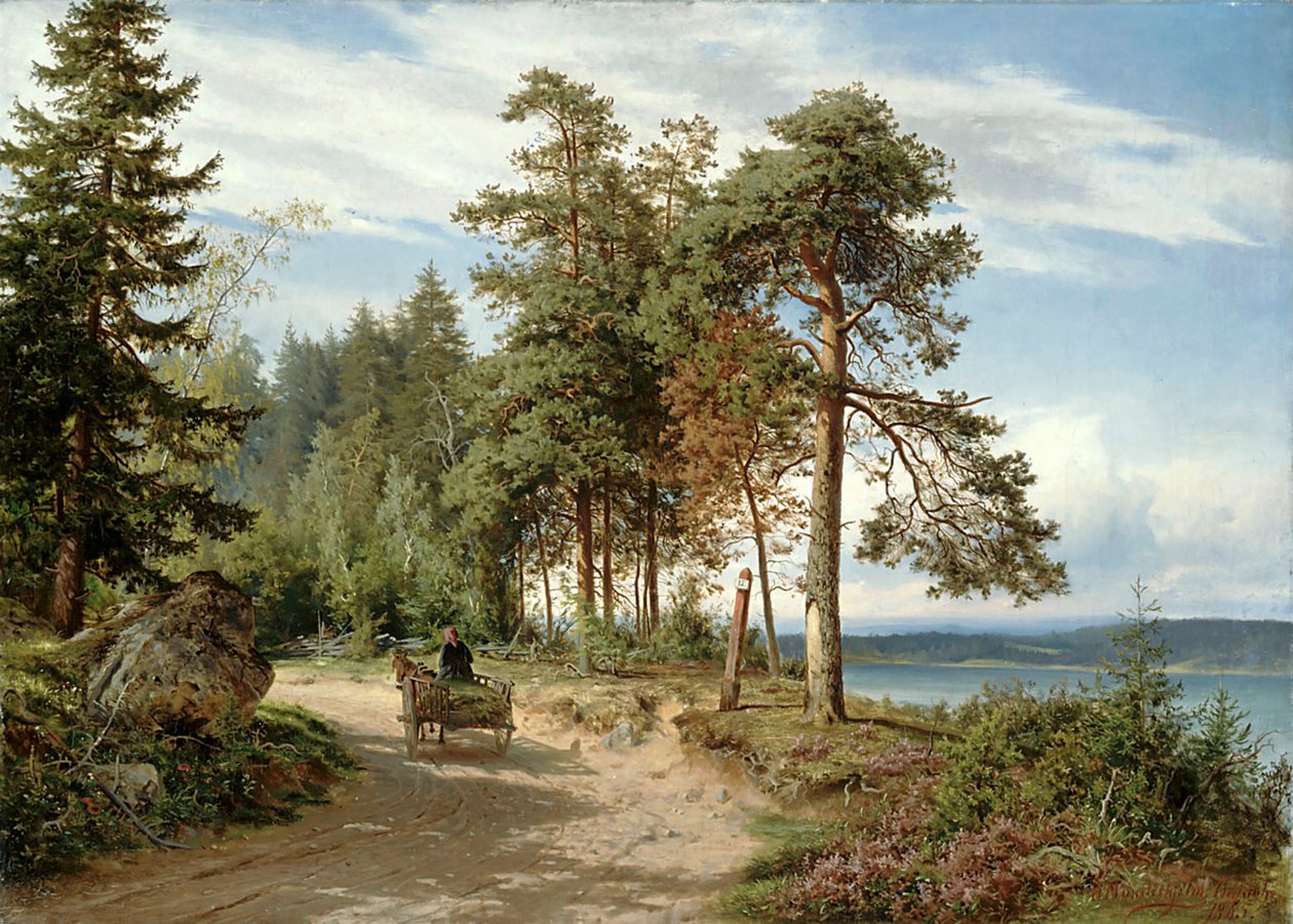  by Hjalmar Munsterhjelm