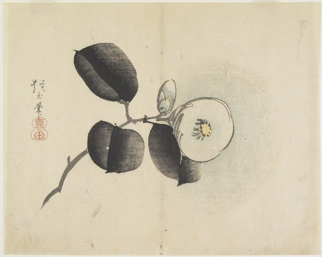 (Kamelya Çiçeği ve Tomurcuğu), c. 1830 by Hogyoku