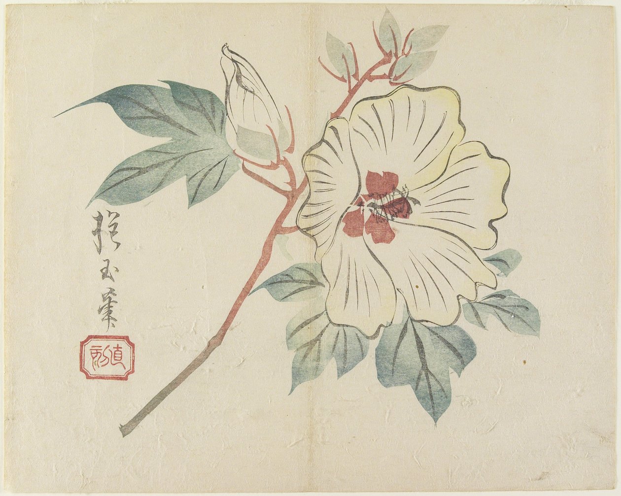 (Büyük Beyaz Çiçek), c. 1830 by Hogyoku