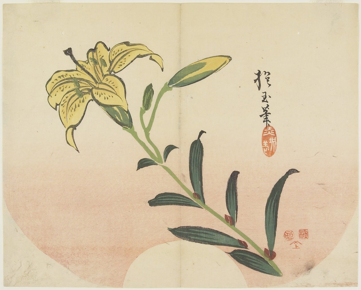 (Zambak), 1839 by Hogyoku