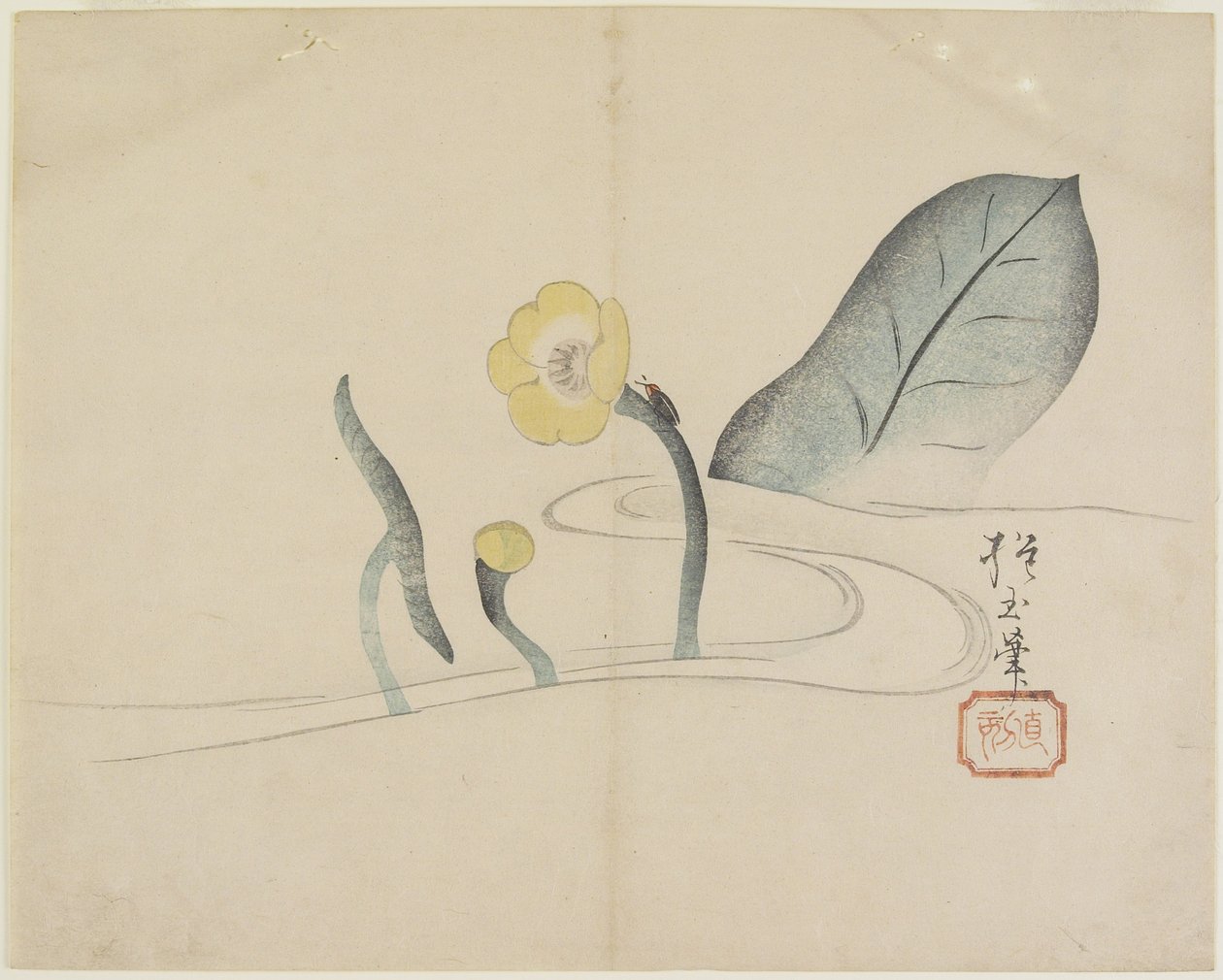 (Lotus ve Altın Böcek), c. 1830 by Hogyoku