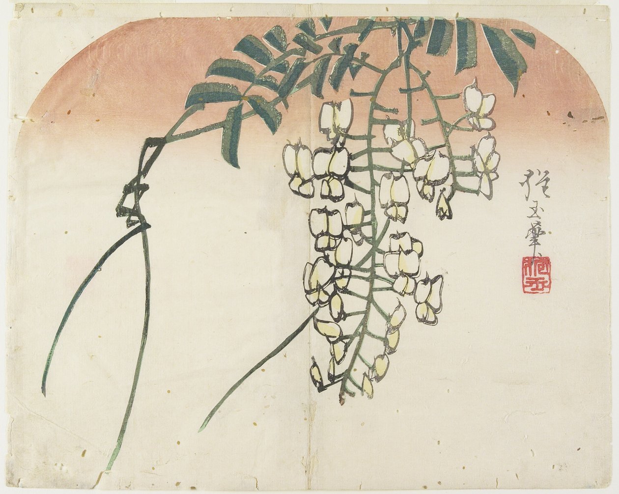 (Beyaz Wisteria), c. 1830 by Hogyoku