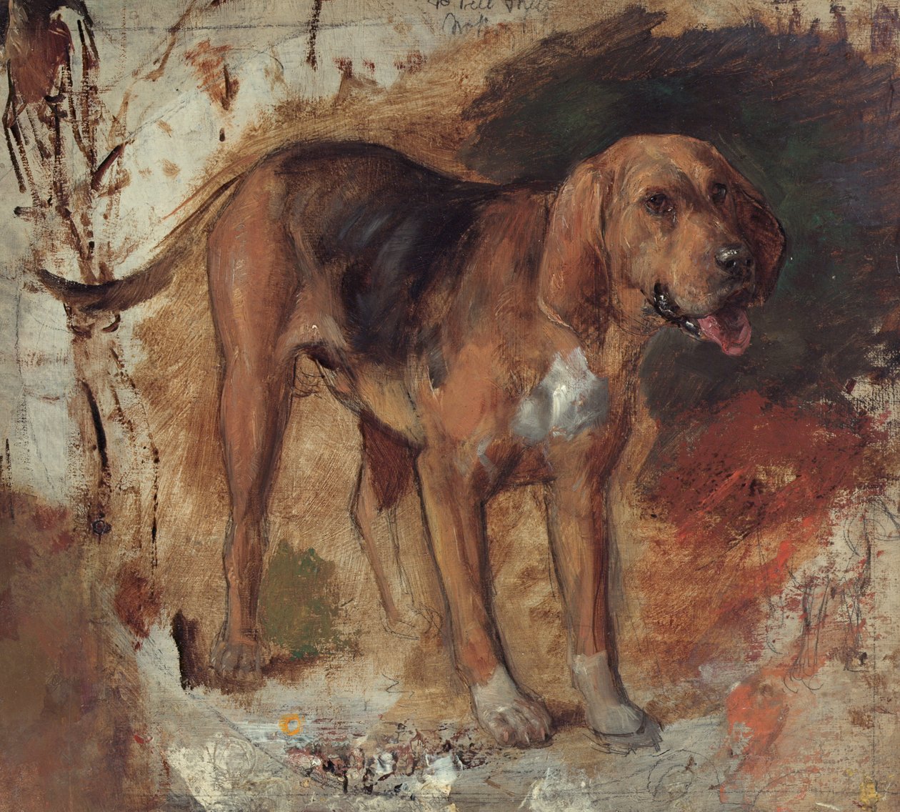 Bir tazı çalışması by William Holman Hunt