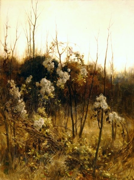 Gezginlerin Sevinci by Hon. Walter John James