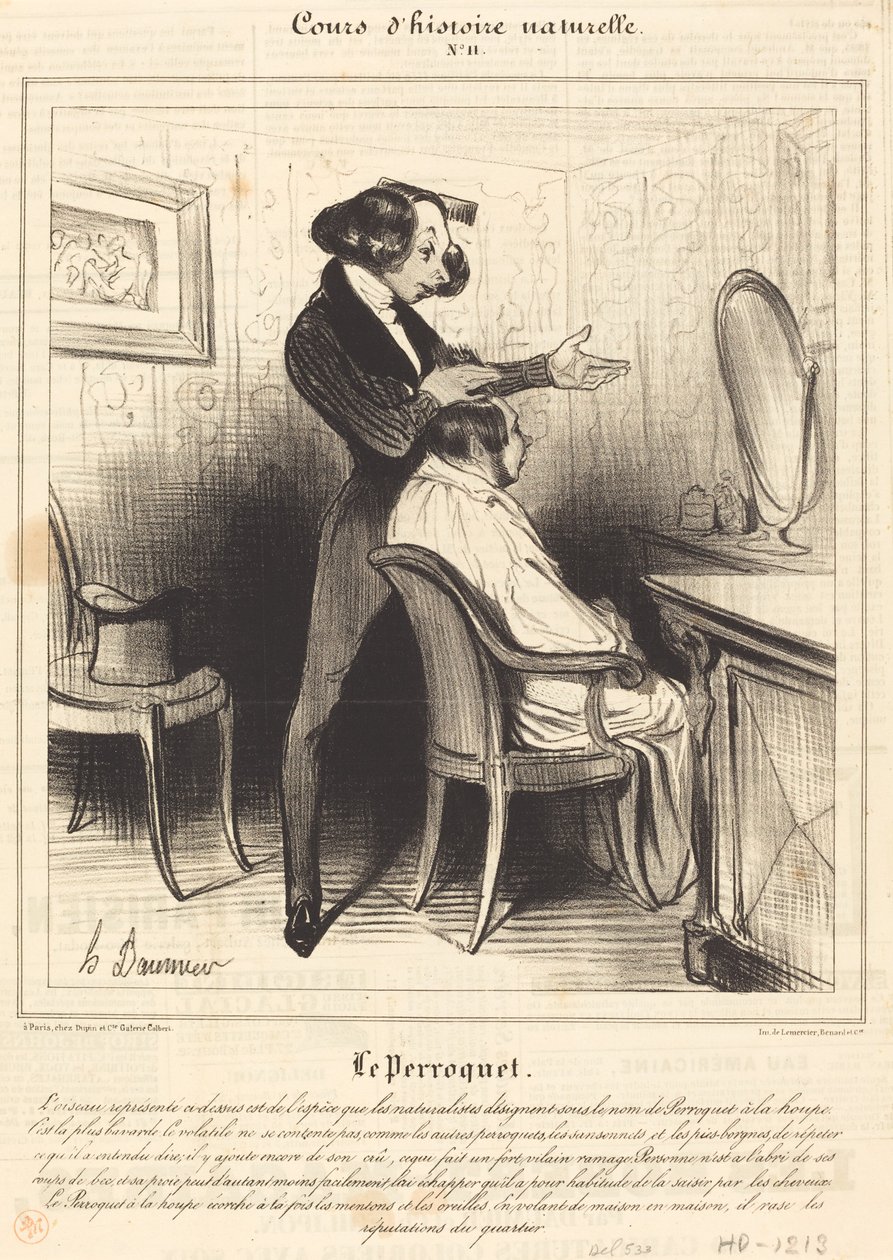 Papağan by Honoré Daumier