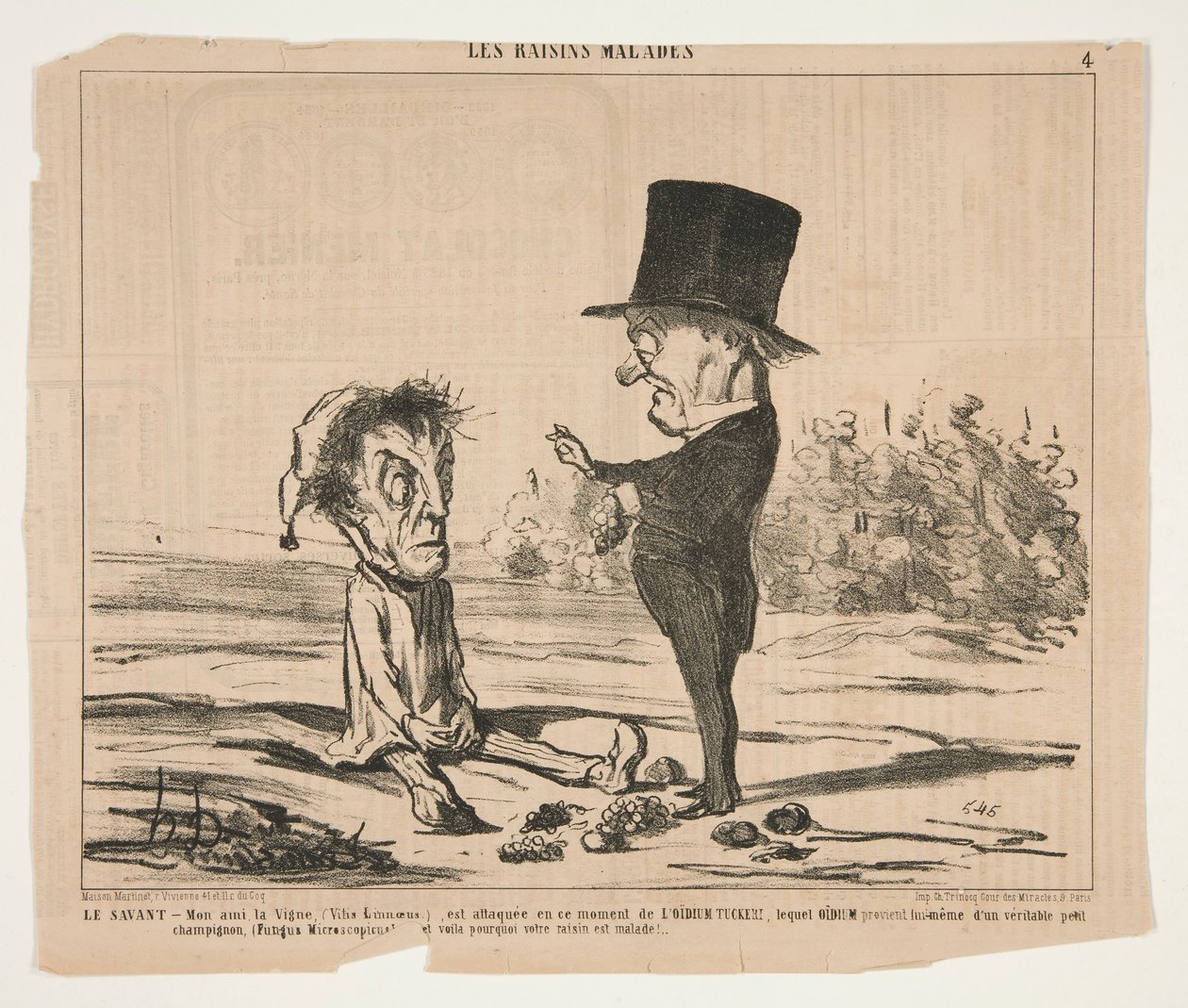 The Scholar - Arkadaşım, the Vine, (Vitis Linnaeus.), şu anda saldırı altında by Honoré Daumier