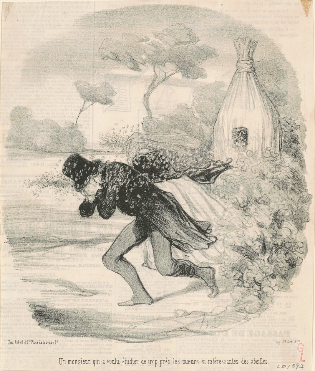 Arıların örf ve adetlerini incelemek isteyen bir beyefendi by Honoré Daumier