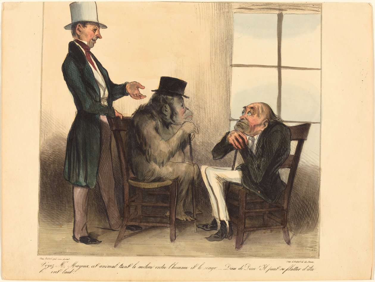 Bakın Bay Mayeux, bu hayvan... by Honoré Daumier