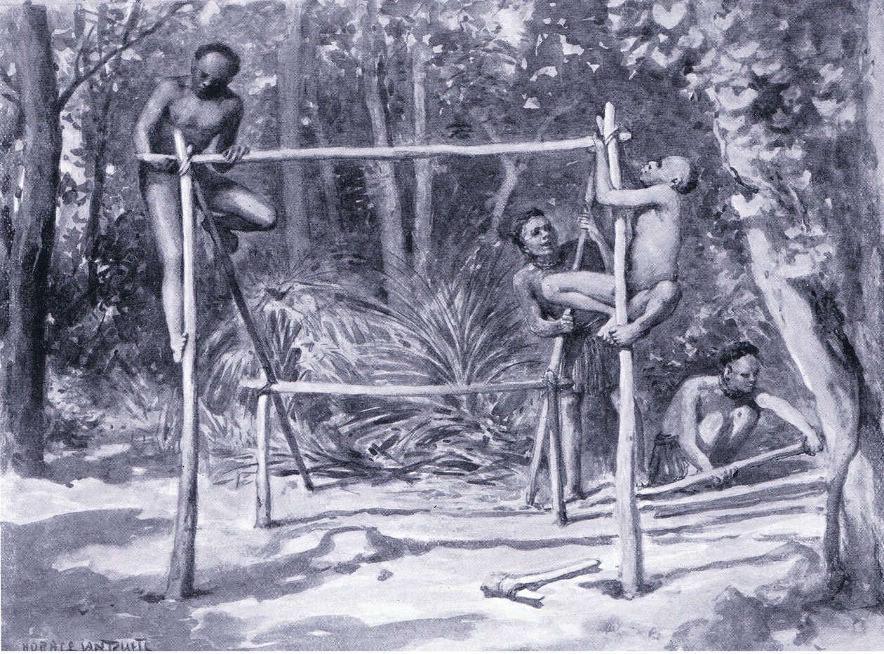 Bir ev inşa etmenin şafağı by Horace van Ruith