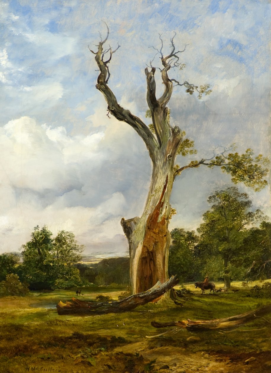 Patlamış Ağaç, 1838 dolayları (tuval üzerine yağlı boya) by Horatio McCulloch
