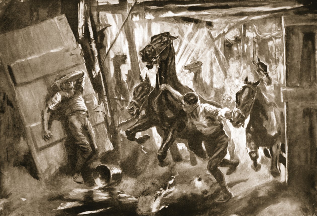 Geçici Farrier-Çavuş Cussens, bir merminin patladığı ahırlardan atları kurtarıyor. by Howard K. Elcock