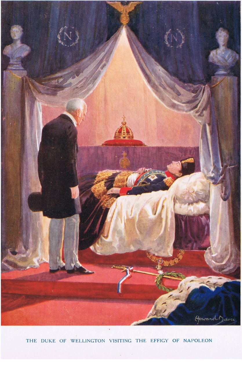 Wellington Dükü Napolyon