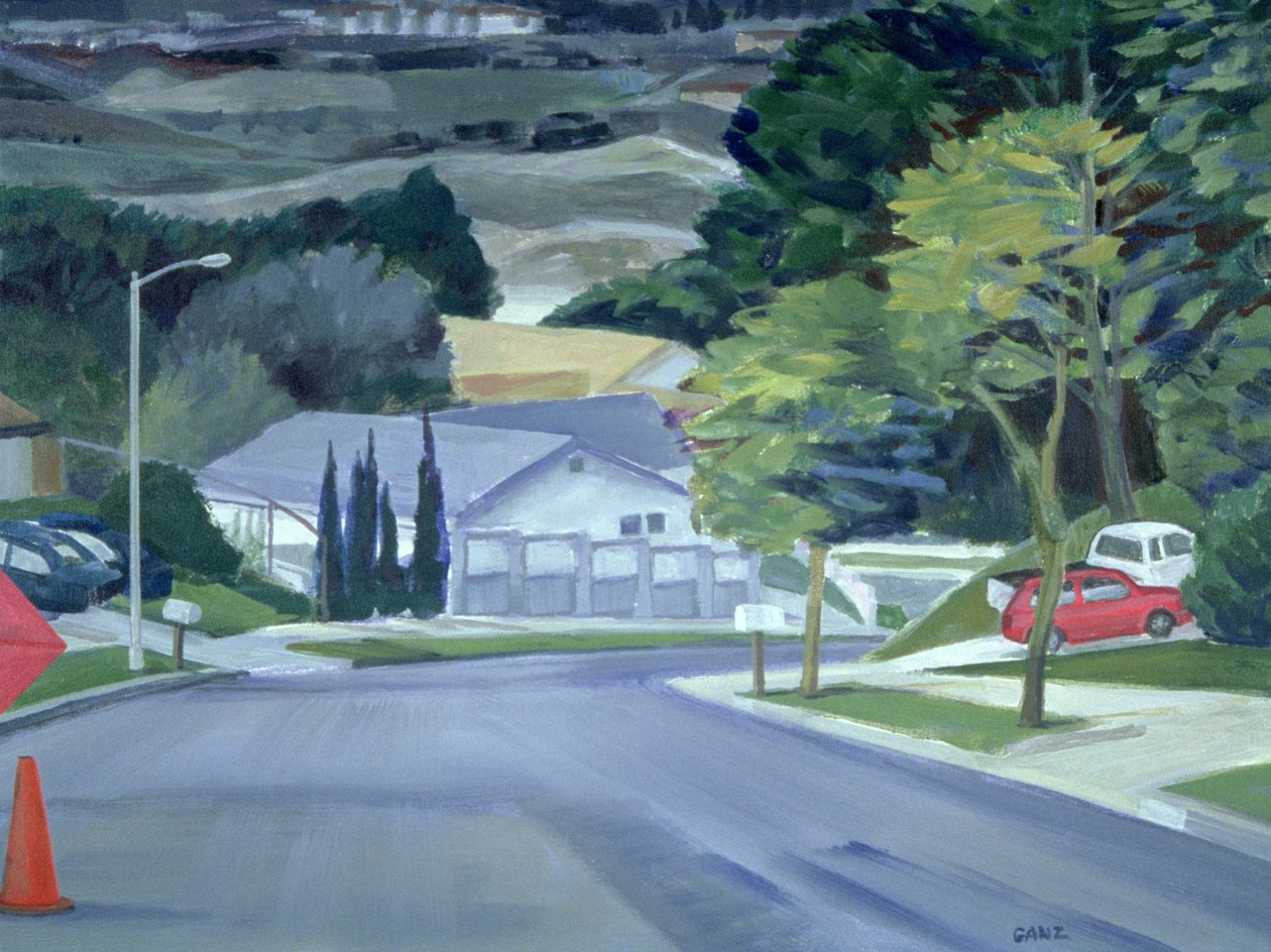 Sokağıma Bakmak, 2000 (tuval üzerine akrilik) by Howard Ganz