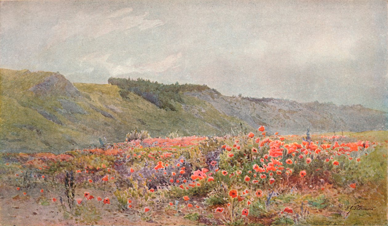 Gelincikler Vadisi, c1879-1903, 1903 by Howard Gull Stormont