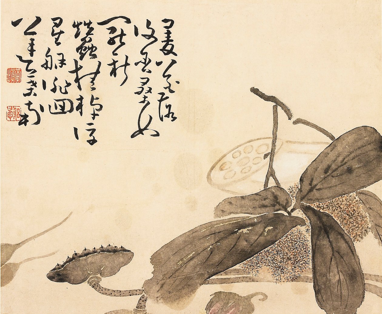 Boyalı albüm yaprağı - Lotus bitkisi, 18. yüzyıl by Huang Shen