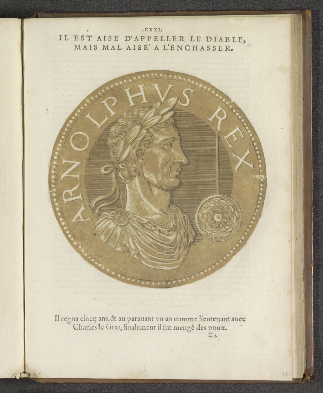 Arnolphus Rex, 