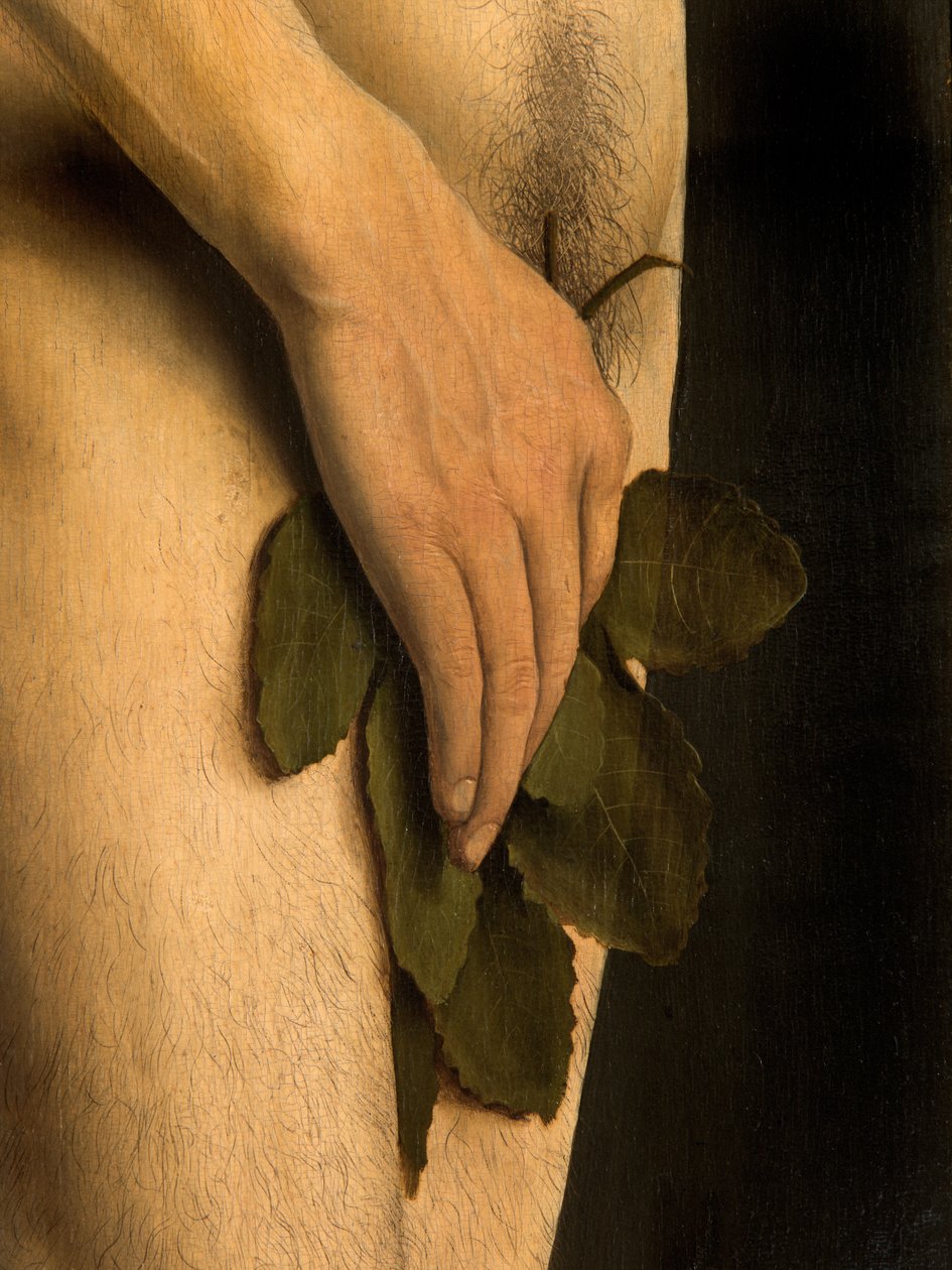 Ghent Altarpiece'in sol kanadından Adam'ın detayı by Hubert & Jan van (1390 1441) Eyck