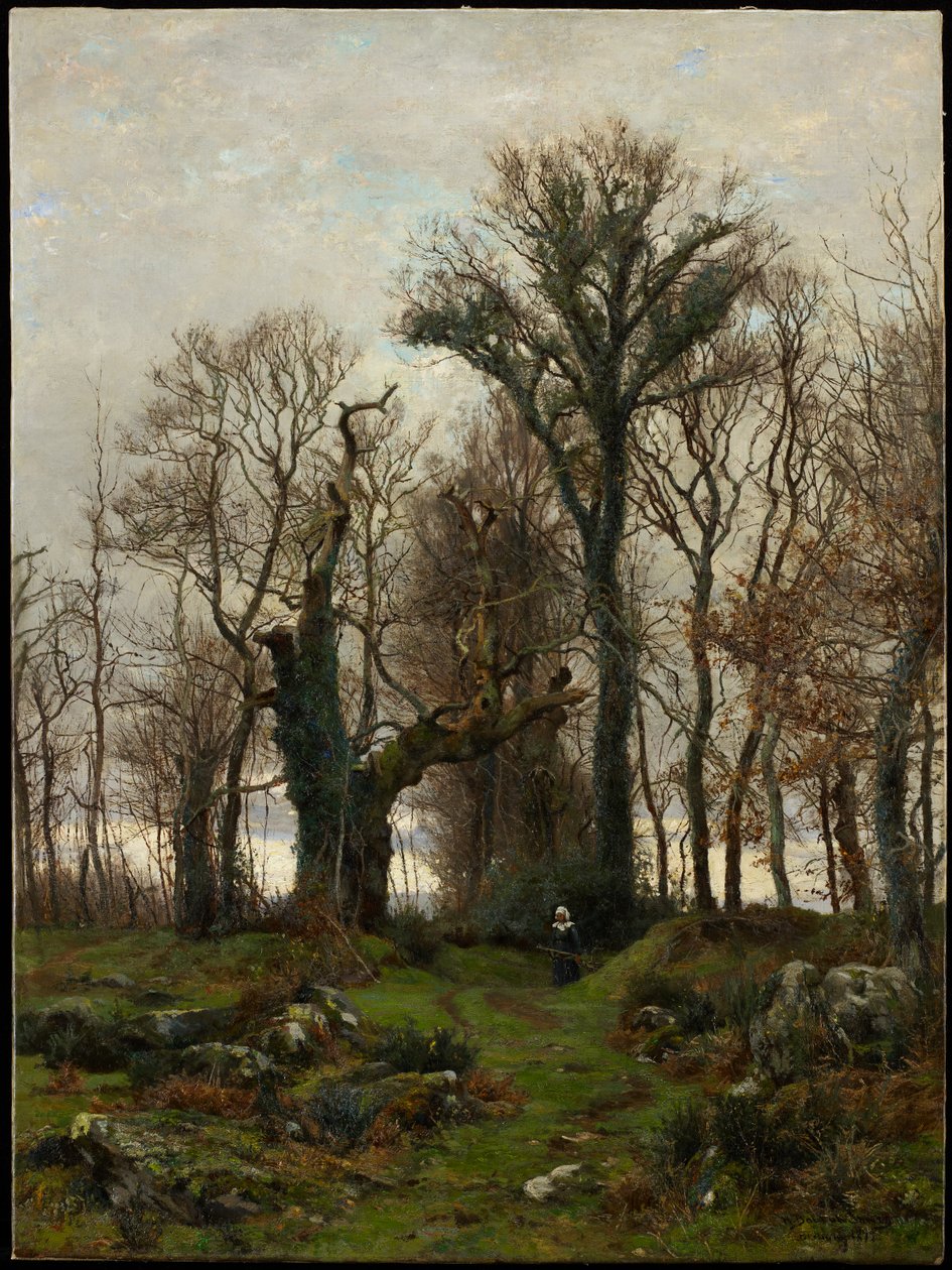 Moor