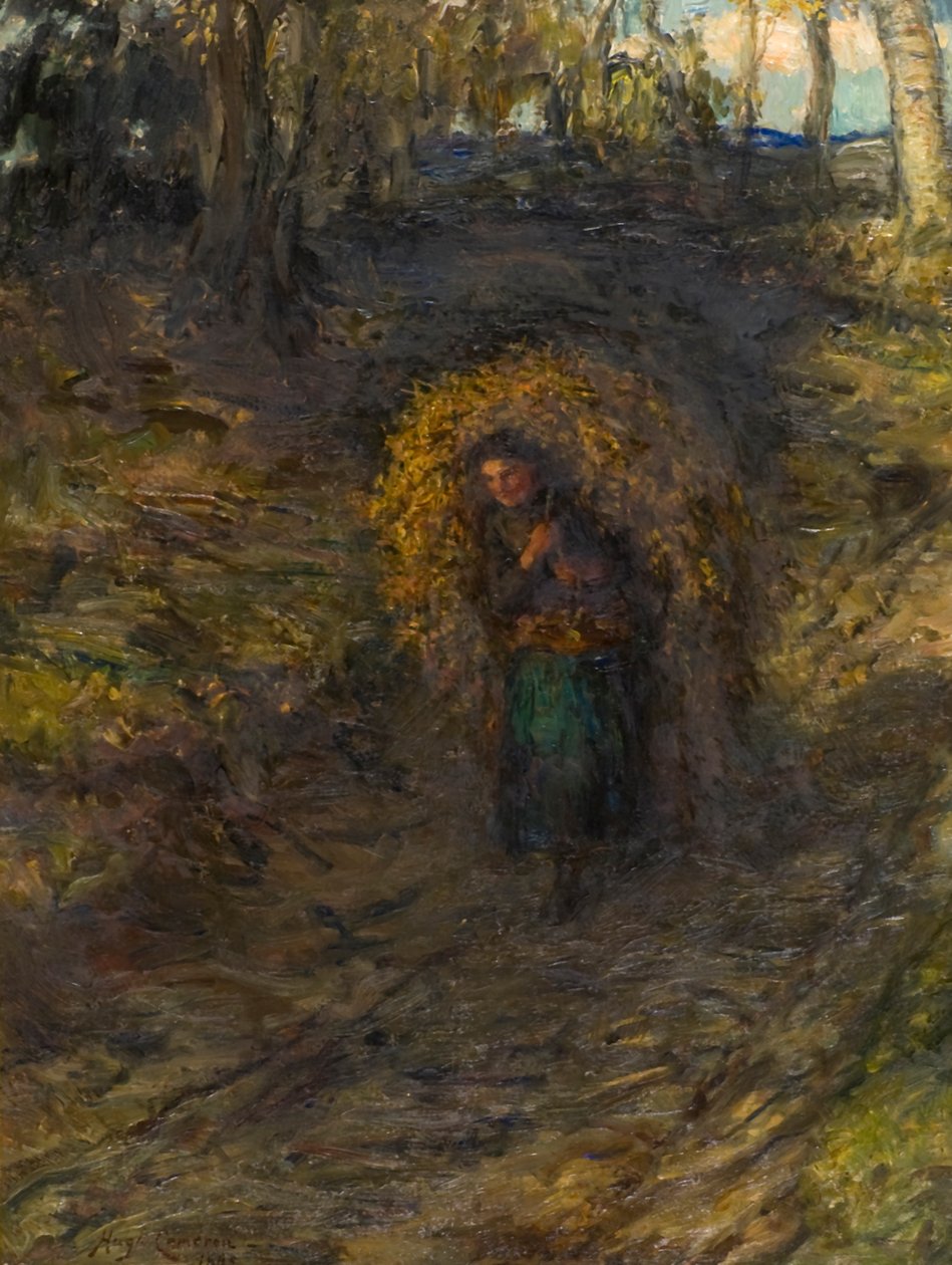 eğreltiotu toplayıcı by Hugh Cameron