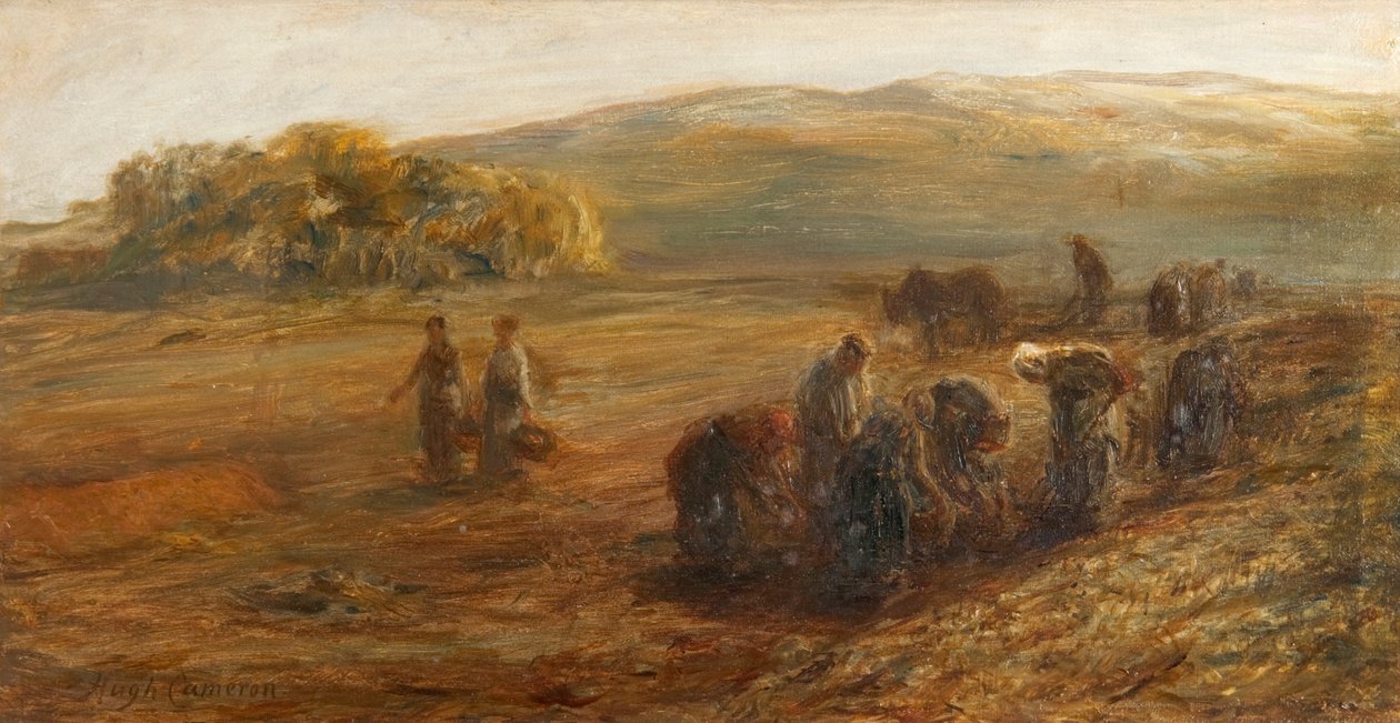 Patates Kaldırma by Hugh Cameron