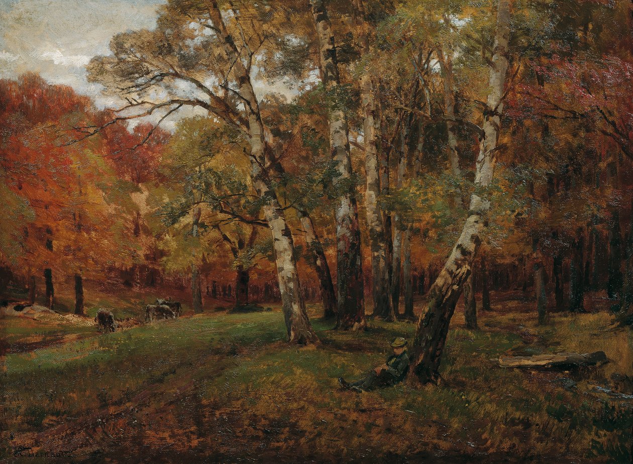 Huş ağaçları ile manzara by Hugo Darnaut