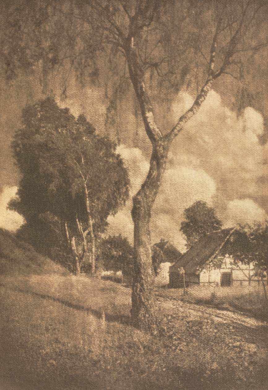 Kamera Çalışması: Pomeranian Motifi by Hugo Henneberg