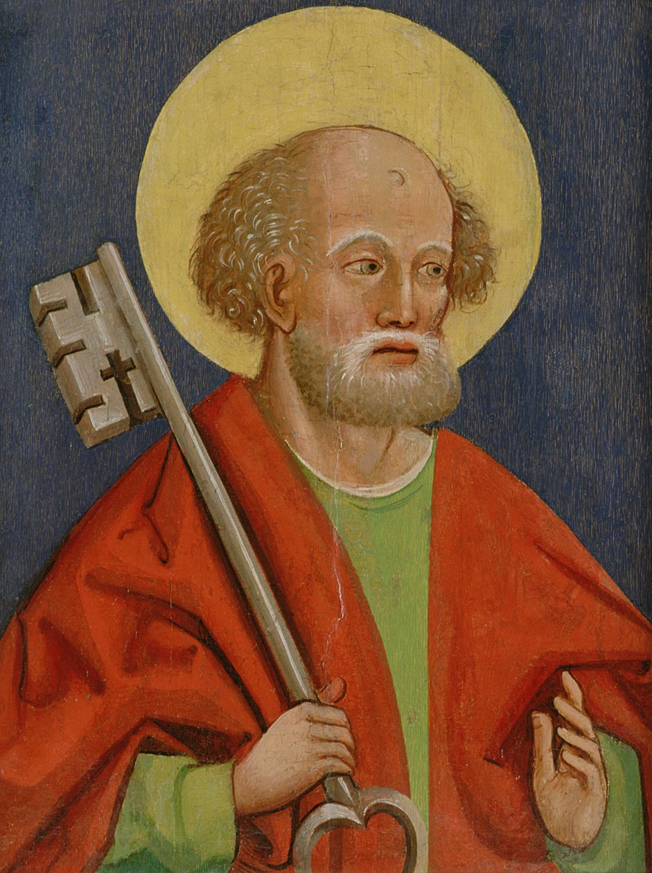 Aziz Peter, Storno by Hungarian School