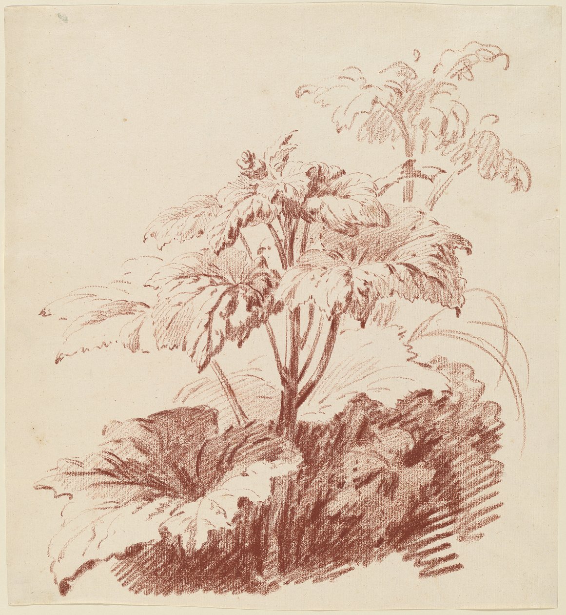 Tomurcuklu Çiçekli Bitki by I Jean Baptiste Hüet