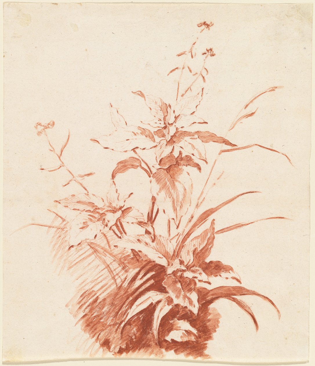 Çimenli Çiçekli Bitki by I Jean Baptiste Hüet