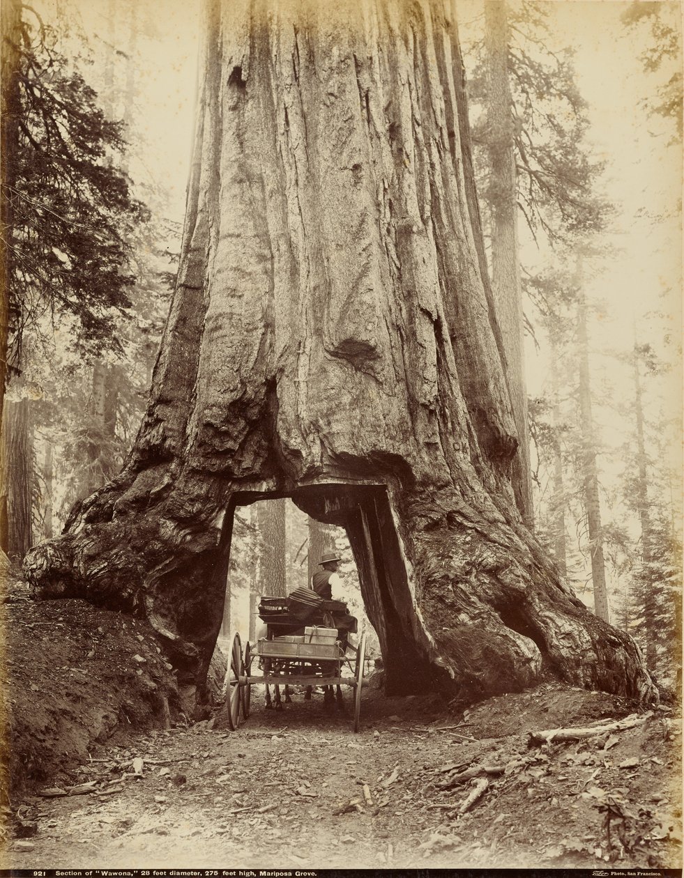  by I. W. Taber