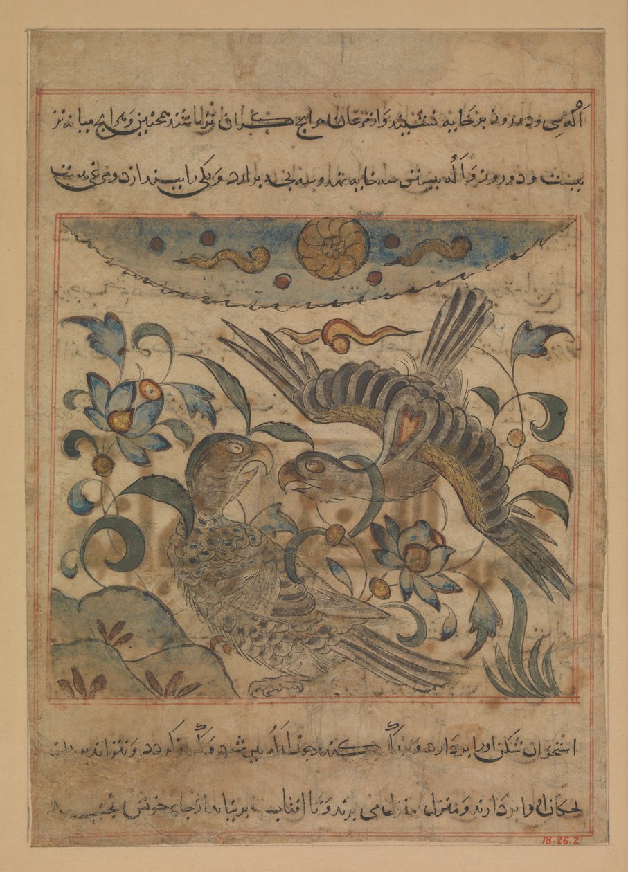 Bir Çift Kartal, Bir Manafi