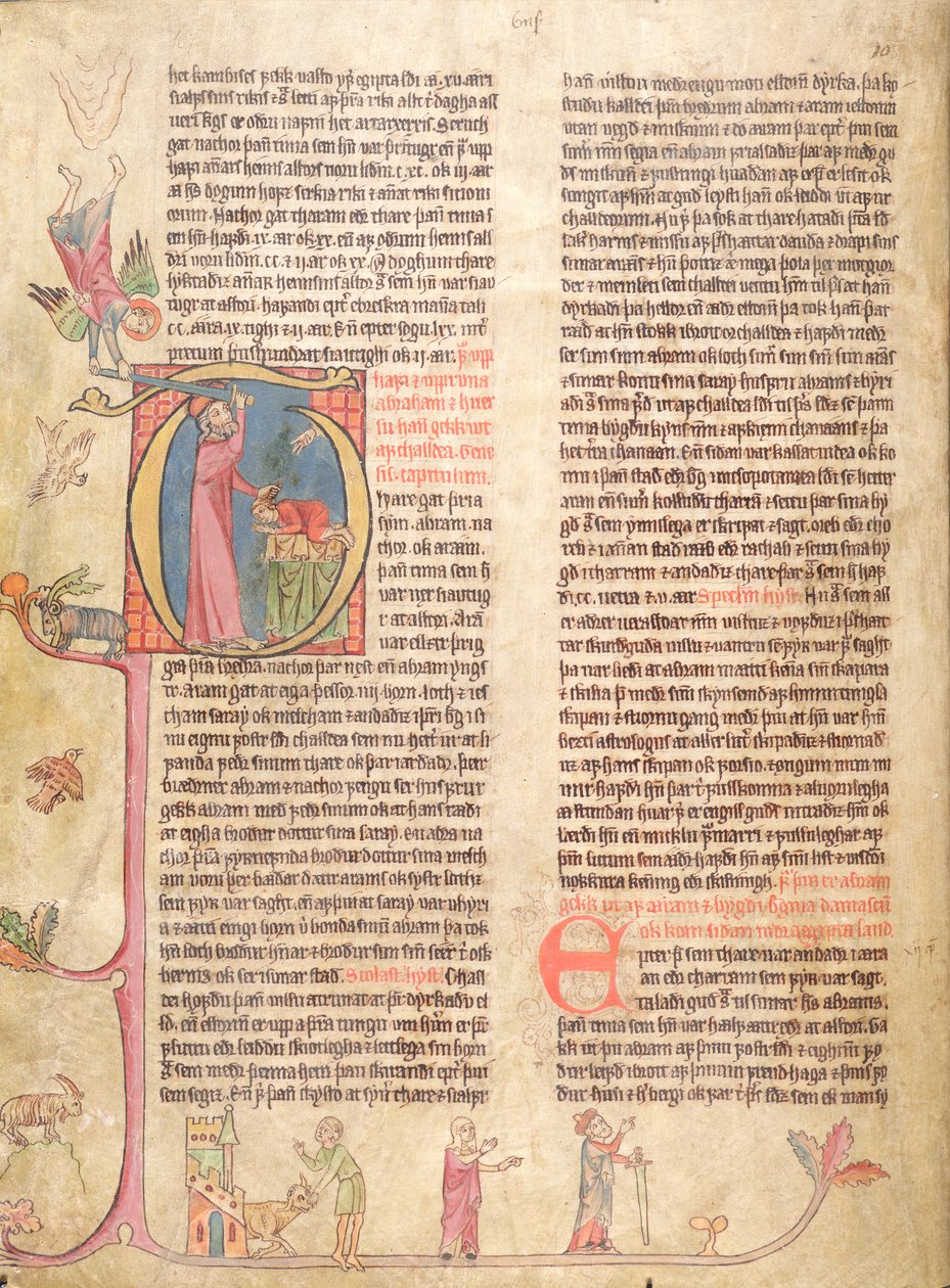 Stjorn