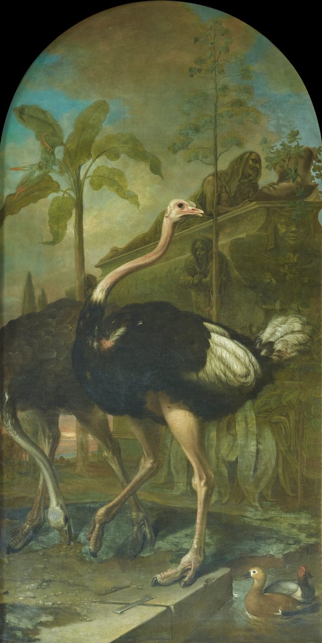 Bir çift devekuşu, arka planda bir lahit by Ignaz Heinitz von Heinzenthal