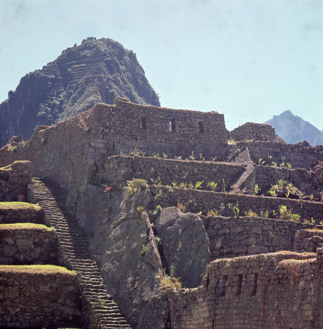 Machu Picchu