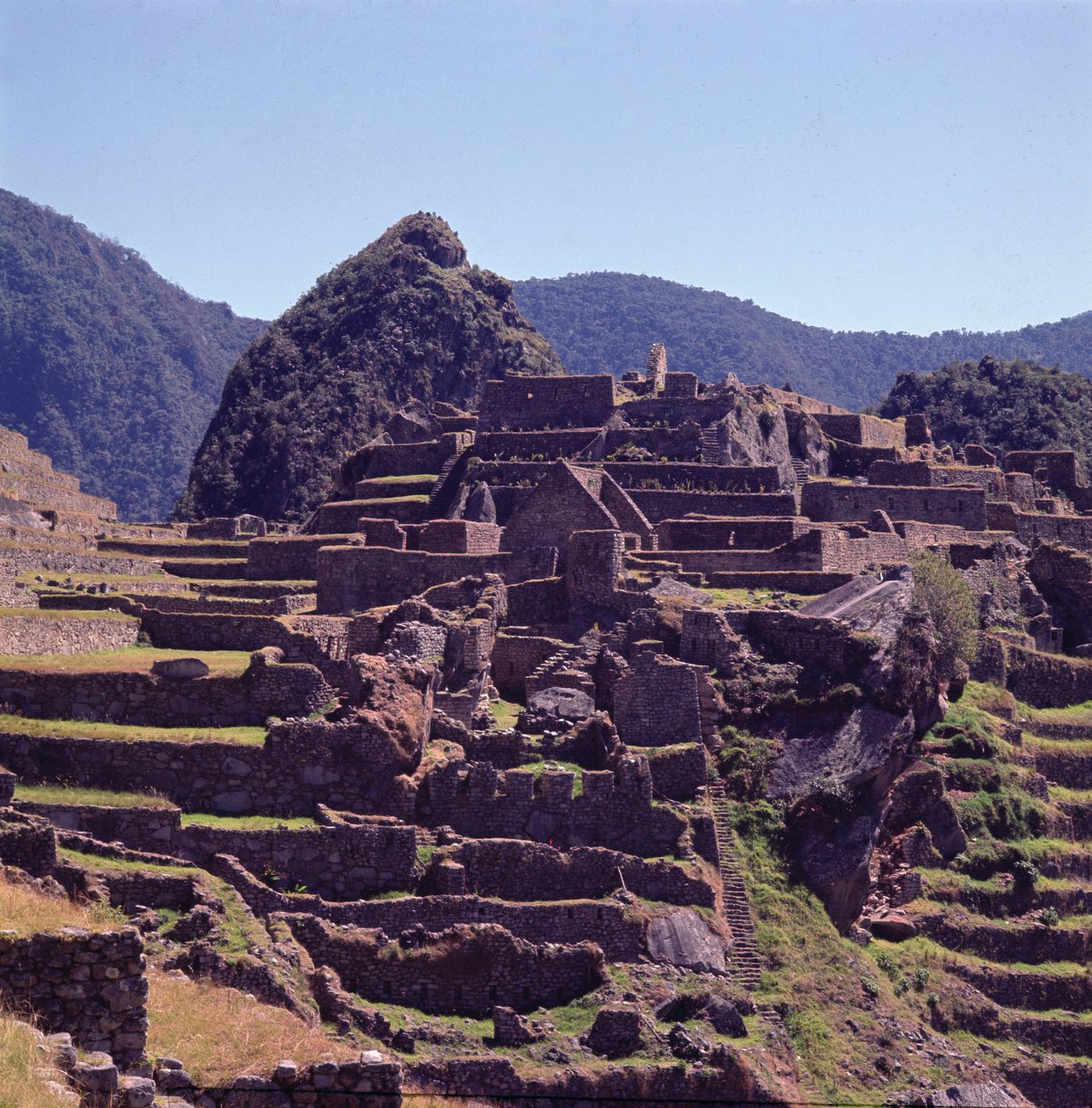 Machu Picchu