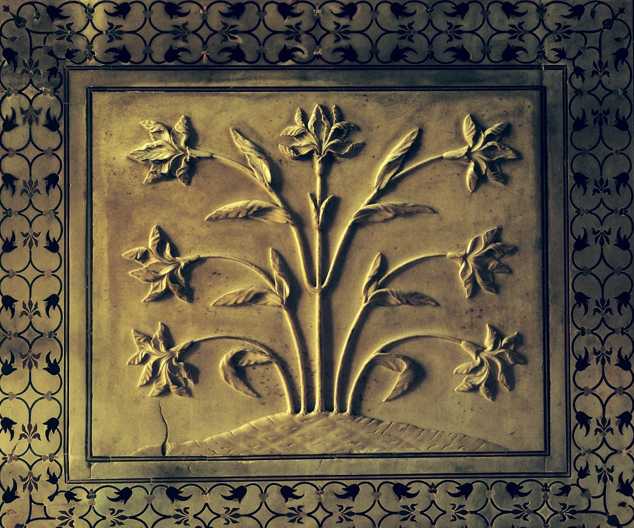 Çiçekli bitki, dairesel galeriden bir panel detayı, 1631-41 (mermer) by Indian School